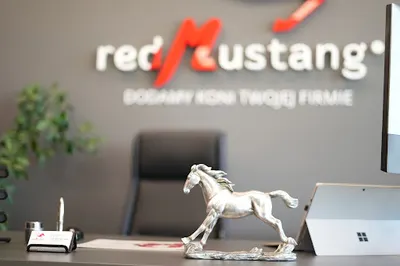 Agencja Marketingowa REDMUSTANG®
